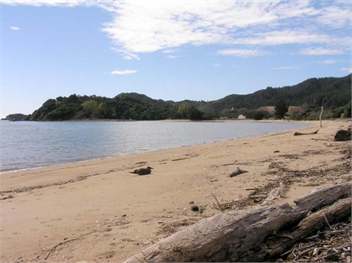 Ligar Bay Bach - Golden Bay