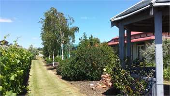 Todds Cottage & Vineyard -