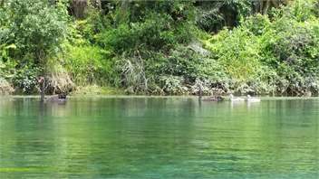 Riverside Apartment - Taupo Apartment Accommodation - Taupo