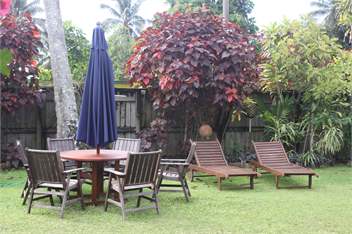 Aremango Guesthouse (Whole house) - Rarotonga