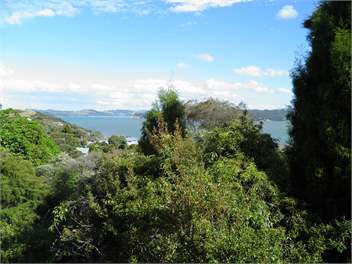 Treetops Cottage at the Castle - Whitianga