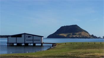 Harbourside Studio - Tauranga