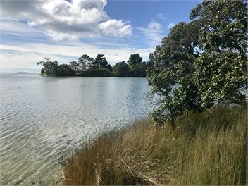 Marotere - Bream Bay