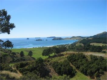 Cuvier Island View - Whitianga