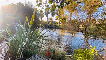 Pahoia Beachfront cabins. Absolute beachfront - Tauranga
