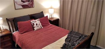 Black Bear Lodge - Hanmer Springs