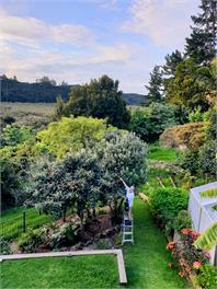 Garden Bliss & Bird Sanctuary in Paihia Estuary - Paihia