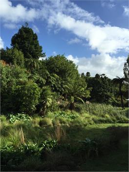 Nikau Retreat - New Plymouth