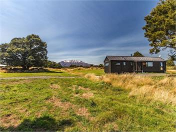 Sno Ruapehu (Bachcare) - Horopito