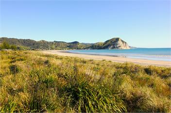 Mahia Bliss (Bachcare) - Mahia