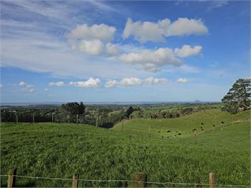 Hosts on the Coast Tui Hills - Katikati