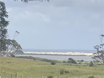 Whiwhi's Salt and Sandy - Baching on the Peninsula - Northland