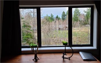 Hanmer Treehouse - Hanmer Springs