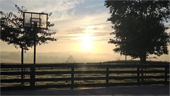 The Barn and Bivvy - 