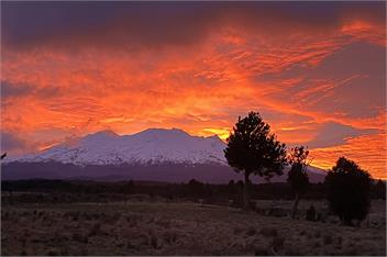 Fire, Light & Mountains - Horopito Paradise - 