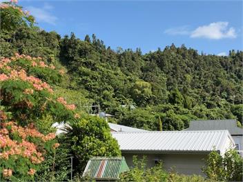 Classic bach in Lake Tarawera  - 
