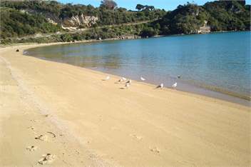 Ligar Bay Cottages - Golden Bay