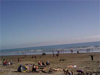 Sunny Beach House - Foxton Beach