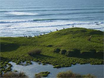 Golden Bay Shearing Shed Retreat at Te Hapu - Nelson