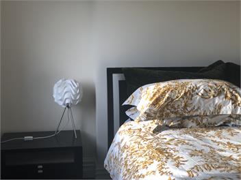 Bond Street Apartment Luxury 3-Bedroom - Dunedin