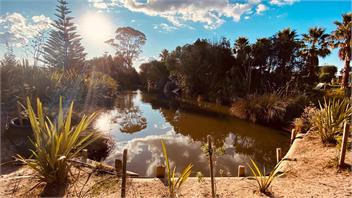 Pahoia Beachfront cabins. Absolute beachfront - Tauranga