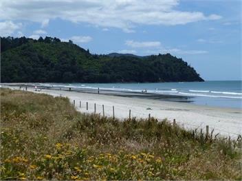 The Jandal (Bachcare) - Waihi Beach