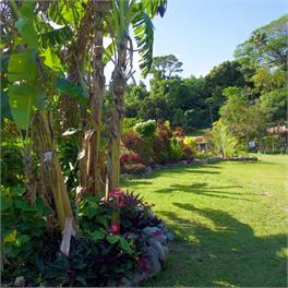 ' ARE PEPE - container home - Rarotonga