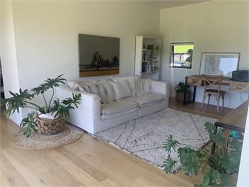 Modern Summer House with Swimming Pool and Spa - Raglan