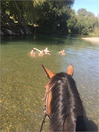 Riverside Retreat  - Rangiora
