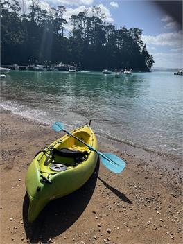 Kawau Beach house - Auckland