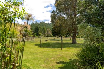 The Grass is Greener Getaway - Private Hot Tub - Whangamata