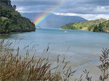 Secluded Kenepuru Retreat. Beach, Bush & 50ha Farm - Picton
