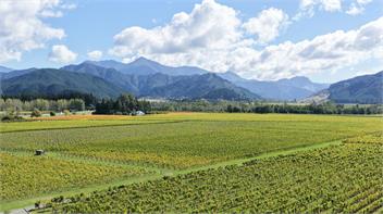 Vintners (Bachcare) - Blenheim