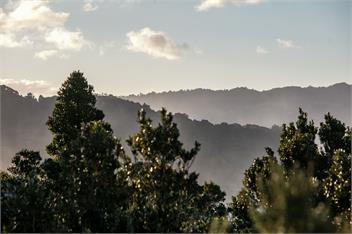Tideview Cottage - Incredible Views - Tairua - 