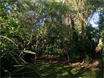 Sea View - Golden Bay
