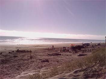Sunny Beach House - Foxton Beach