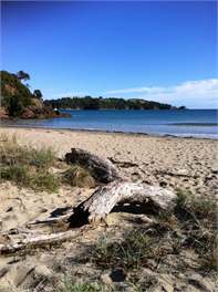 Island Dream - Auckland