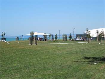 City & Sea Haven - Your ideal base in Napier ! - Napier