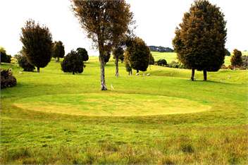 The CHALET & Teacastle Cottage - Havelock North 4294