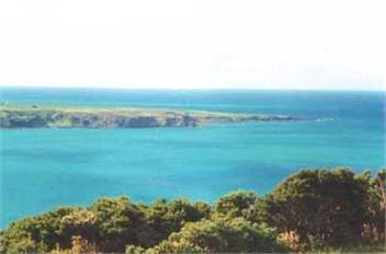 Beach House in Hicks Bay, Eastland - Hicks Bay, East Coast