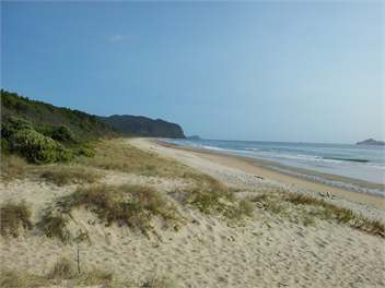 Opoutere Hideaway - Whangamata