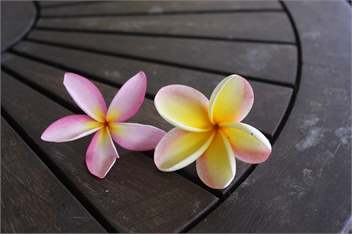 Aremango Guesthouse (Whole house) - Rarotonga