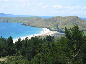 Cuvier Island View - Whitianga