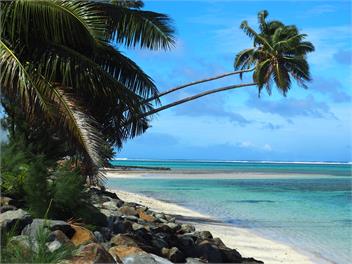 ' ARE PEPE - container home - Rarotonga
