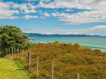 The Beach House (Bachcare) - Kuaotunu