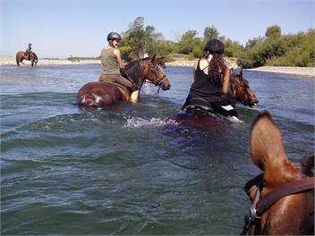 Riverside Retreat  - Rangiora