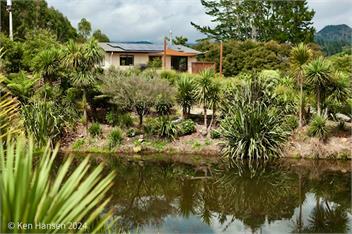 Mill Creek Cottage - Whitianga