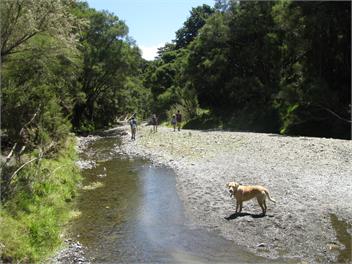 Moeraki Station - Holiday House - Martinborough