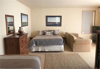 Sargood Splendour (Bachcare) - Wanaka