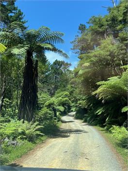 Kawau Beach house - Auckland